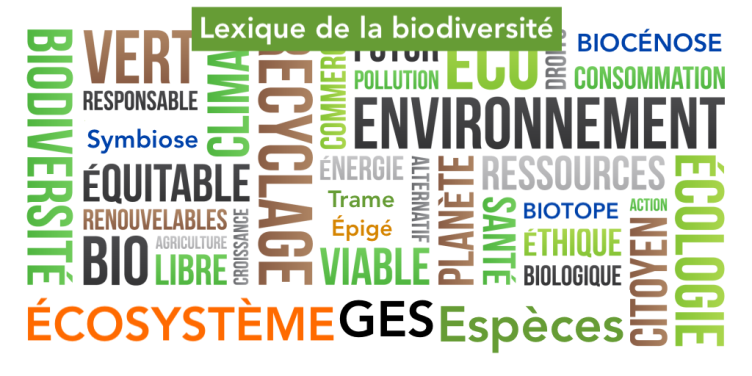 biodiversité